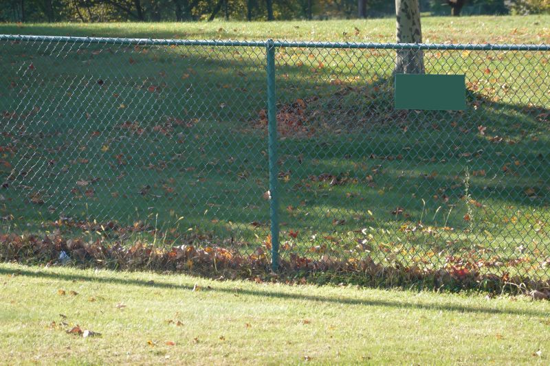 Cost-effective Fence Care