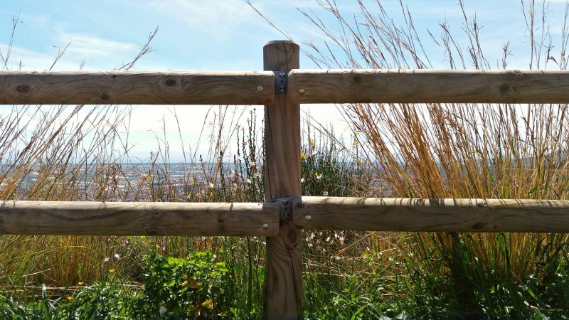 Wooden Dog Fence Installation